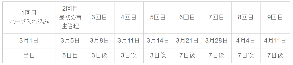 スケジュール