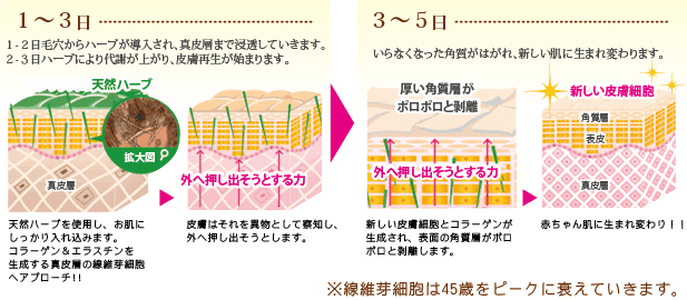 クロイタ―ピール 5DAYSケアの流れ
