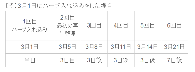 【モルビト 3週間プログラム】