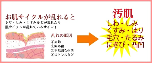 クロイタ―ピール